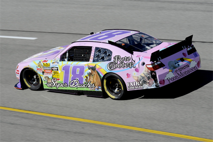 Kyle Busch Roto Cooter